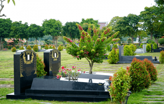 Mộ đơn tiêu chuẩn