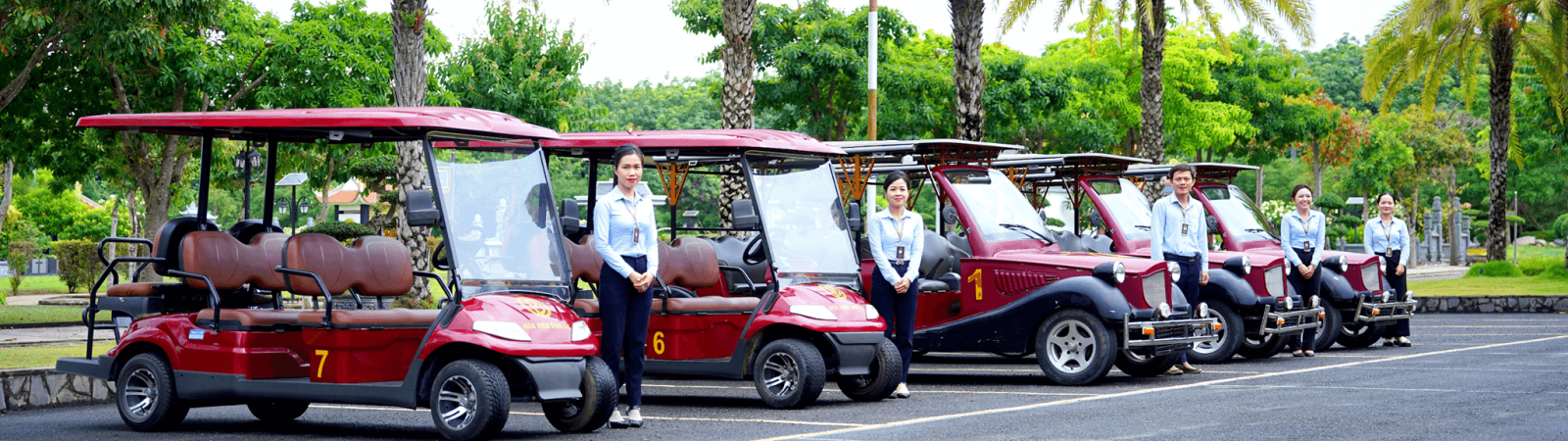Dịch vụ
